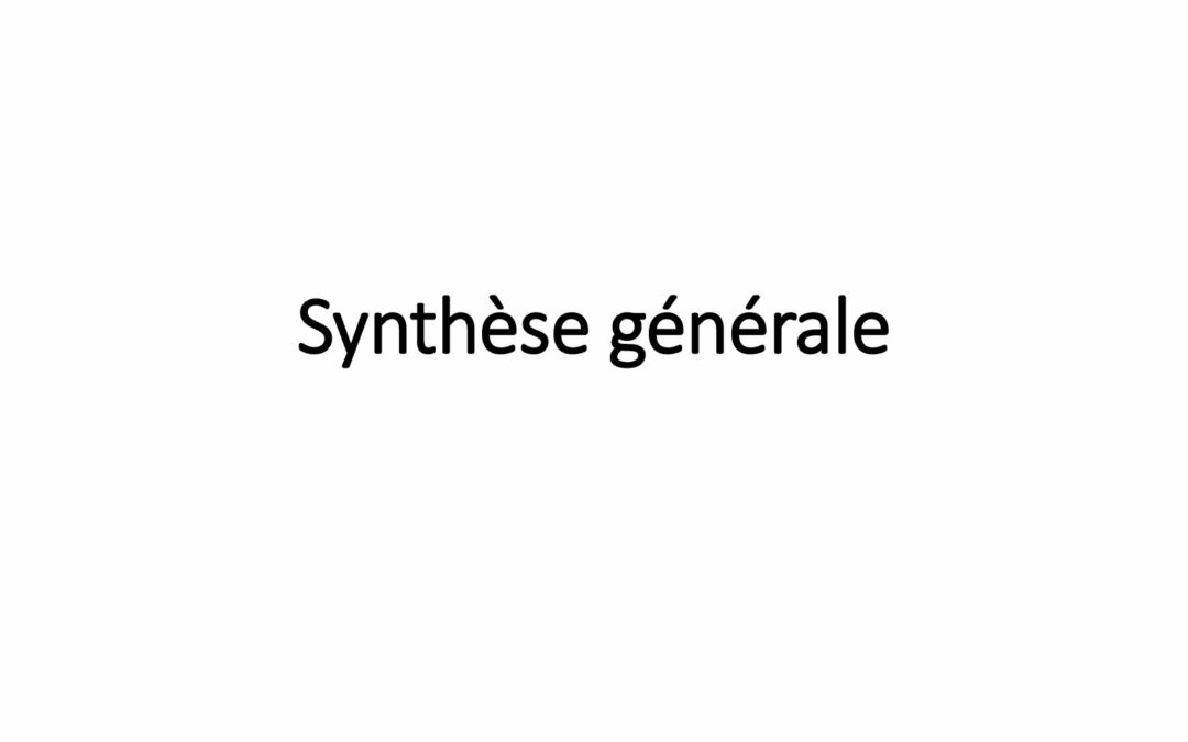 2018_VTN_S_Synthese